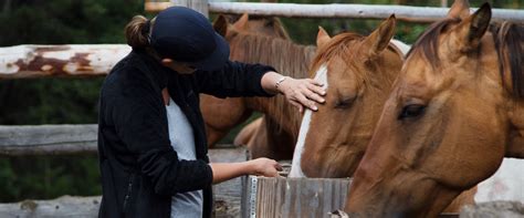 6 Tips for Horseback Riding in Banff | Banff Trail Riders