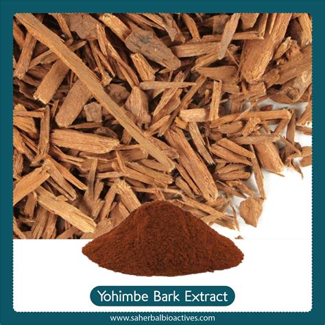 Coryanthe Yohimbe Extract - SA Herbal Bioactives