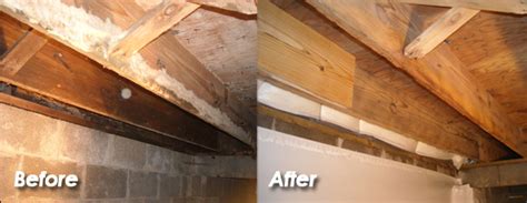 Crawl Space Mold Remediation & Removal Charlotte, NC