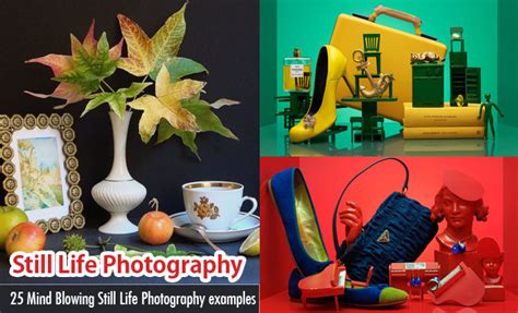 50 Beautiful Still Life Photography Ideas and Tips for your inspiration ...