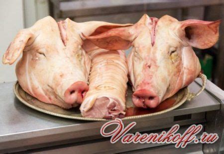 Как приготовить свиную голову в домашних условиях?