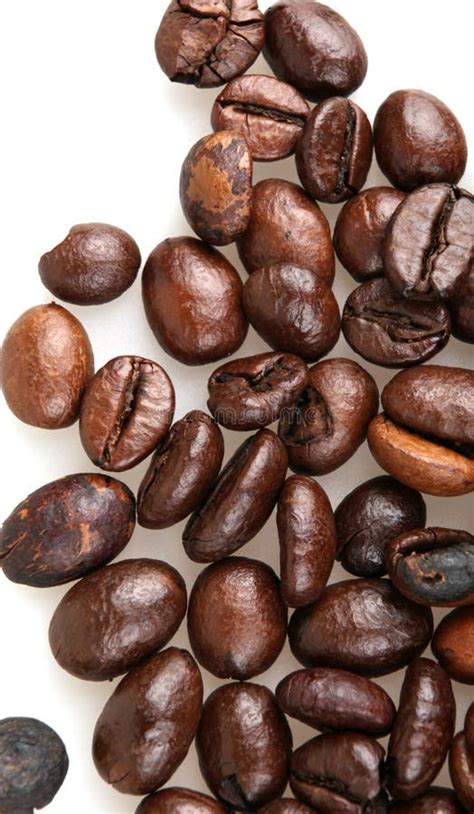 Coffee Beans stock photo. Image of beans, coffee, bean - 29027208 