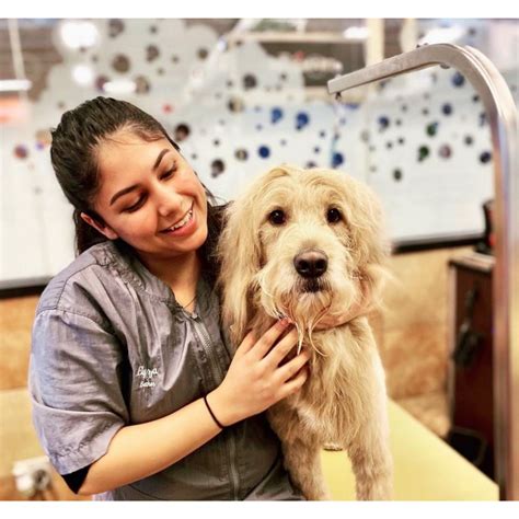 how much to groom dog at petsmart