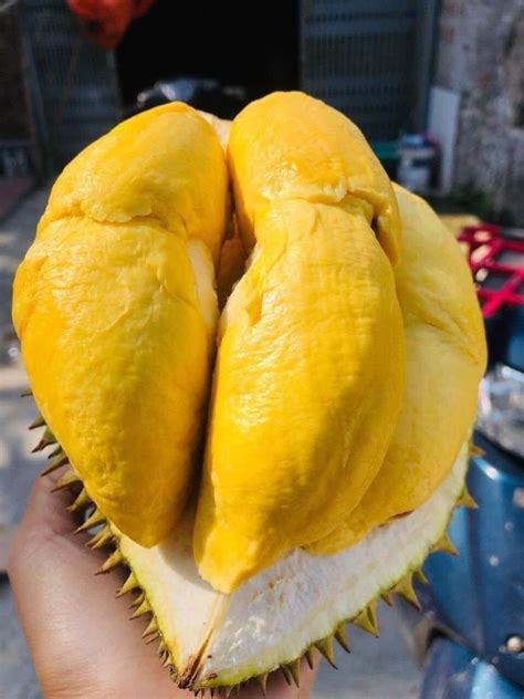 ngon nhut nach viet boi