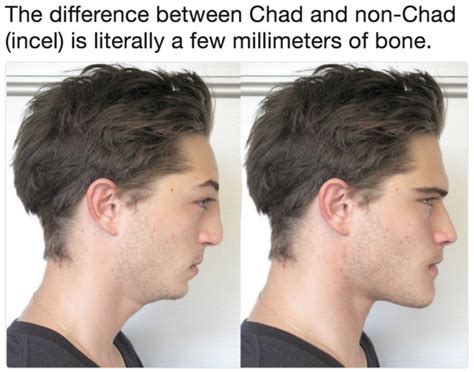 Chad Face | Know Your Meme