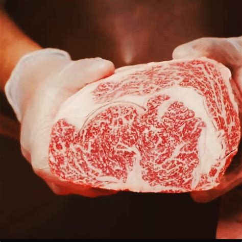 australian wagyu raustralia