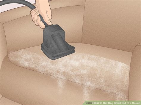 how to get dog smell out of a blanket