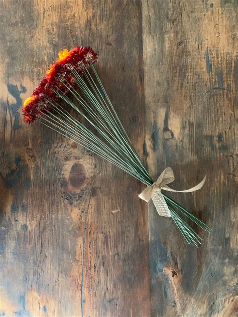 Scarlet Strawflower Stems Naturally Dried Strawflower Bouquet Red