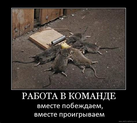 Мотиваторы и демотиваторы с меткой: работа в команде. Мотиваторы