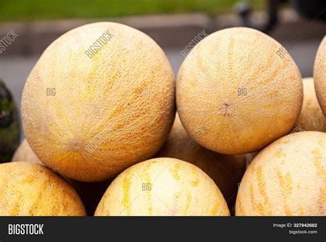 Хандалак (много фото) - treepics.ru