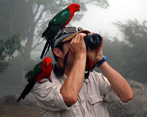 The 8 Best Bird Watching Binoculars