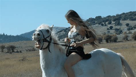 faffcdfedabgif  cheval equestre