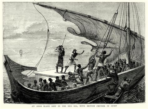 A Photo History Of Slavery In Brazil