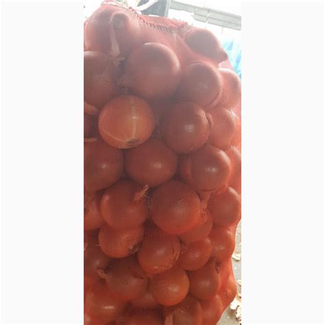 Лук на Экспорт из Солнечного Узбекистана — Agro-Uzbekistan