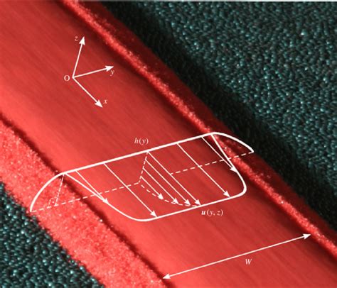 schematic diagram   coordinate system oxyz inclined   angle
