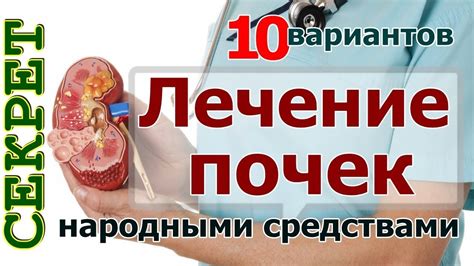Лечение почек народными средствами - YouTube