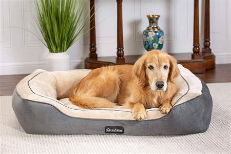 The 7 Best Dog Beds For Winter - BarkForce