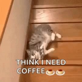 Coffee Java GIFs - Find & Share on GIPHY