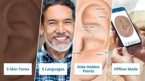 auriculo    features acupuncture technology news