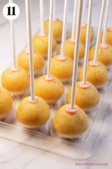 Best Starbucks Birthday Cake Pops To Make For Your Next Party