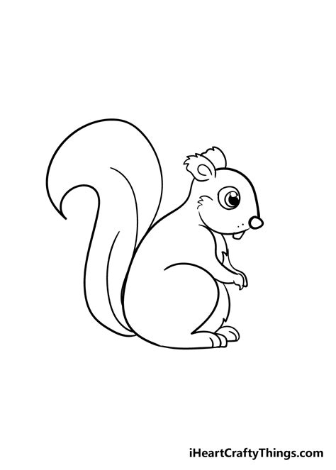 Squirrel Drawing - How To Draw A Squirrel Step By Step