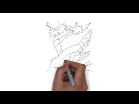 как нарисовать кукушку,how to draw a cuckoo,cómo dibujar un cuco - YouTube