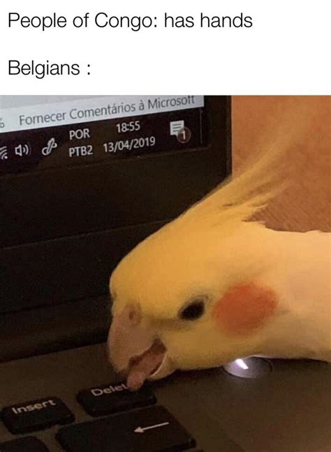 sharp meme amirite rhistorymemes