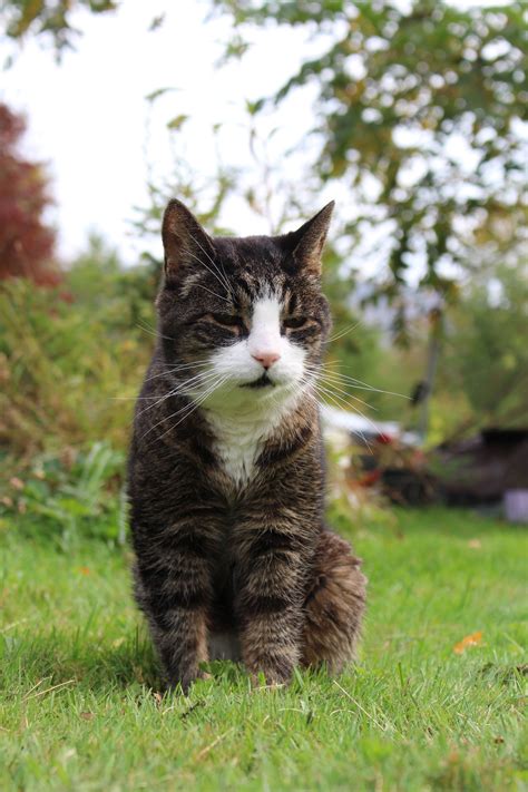 Jenny Kitty - 9-22-2019