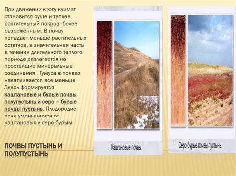 Почвы России. Урок 2 - презентация онлайн