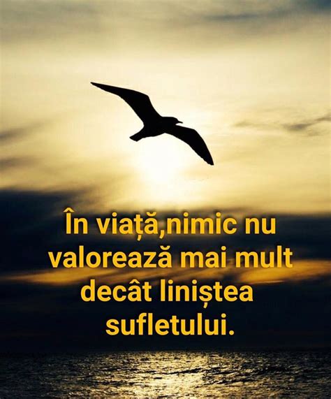 In viata, nimic nu valoreaza mai mult decat linistea sufletului ...