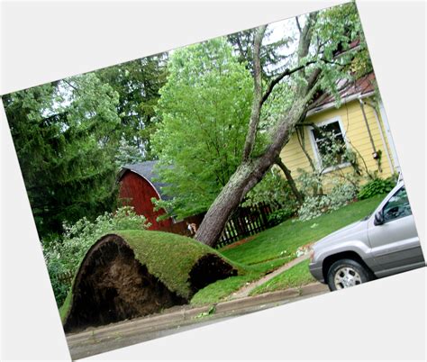 Mason Storm's Birthday Celebration | HappyBday.to