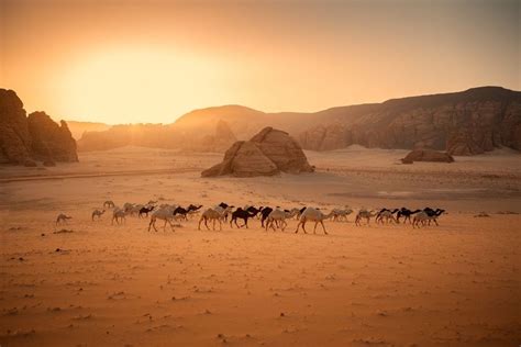 Al Ula, Saudi Arabia - Tourist Places & Top Things to Do in 2025