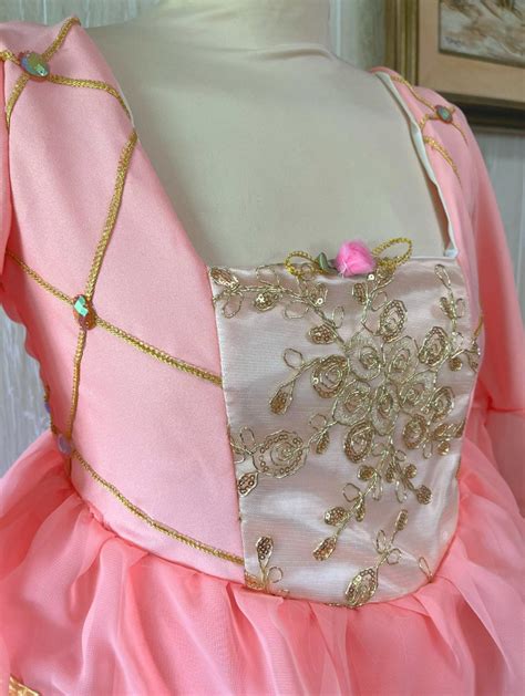 Barbie Princess and the Pauper Costume - Etsy