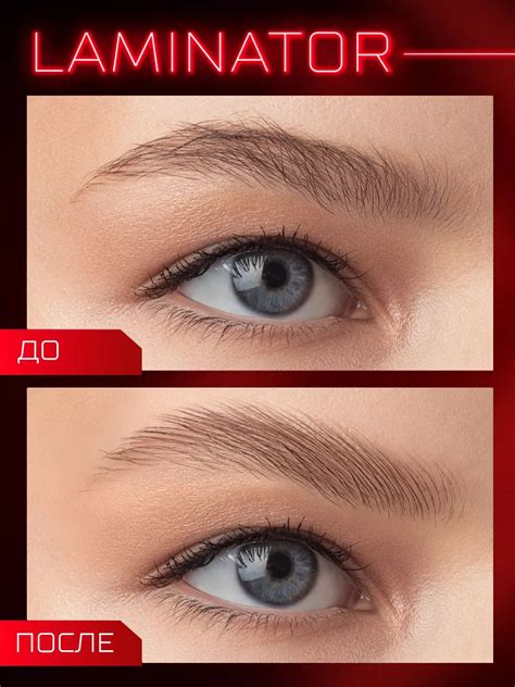 Гель для бровей водостойкий BROW LAMINATOR EXTREME FIX 24h LUXVISAGE ...