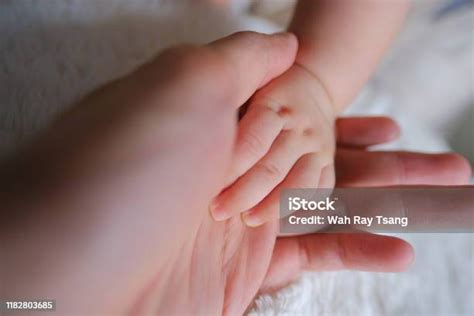 tangan kecil bayi  tangan besar foto stok  gambar
