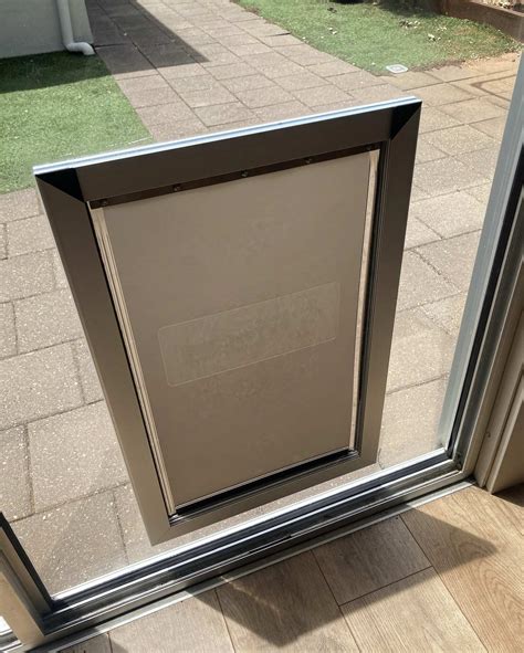 Extra Large Dog Door For Glass – Supplied & Installed – Dog Door
