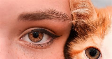 Котките имат ли мигли? - Котки - DogsAndCats.bg