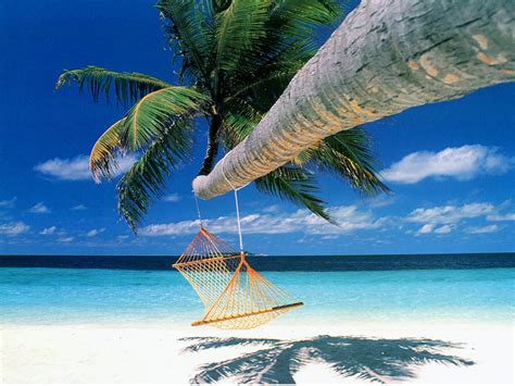 Aprendiendo a volar.: Relax