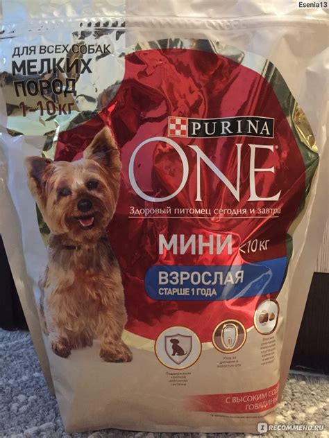 Корм для собак Purina One Мини Активная - «PURINA ONE - отличный корм ...