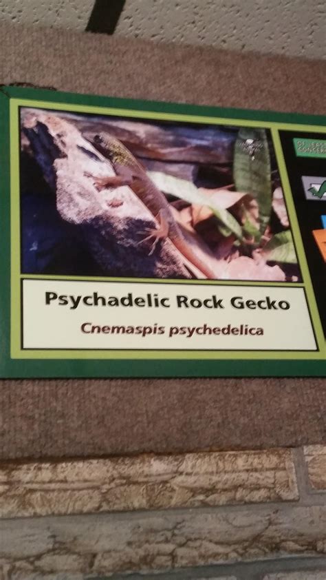 right near the rattlesnakes too : r/KGATLW