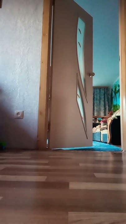 самв - YouTube