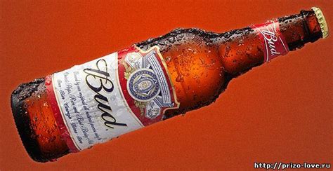 Пиво Bud и Budweiser - одно и то же? | Ответы Mail