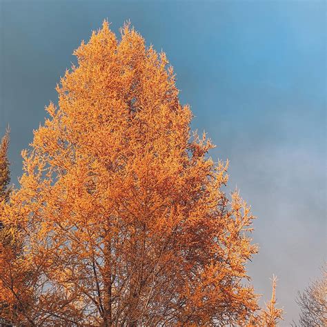 easing  transition  fall