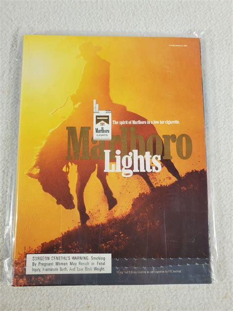 Playboy Magazine Back Issue September 1993 ~ Playmate Carrie Westcott