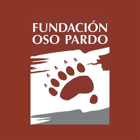 Fundación Oso Pardo - 👉Incógnitas sin resolver en la muerte de la osa