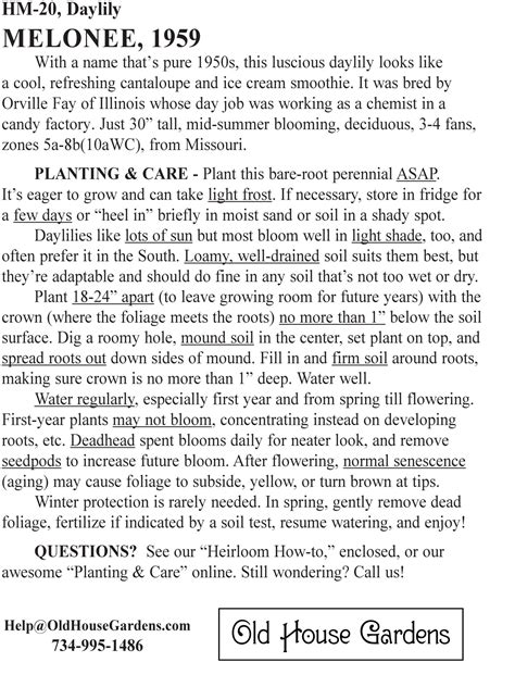 Melonee daylily | Old House Gardens