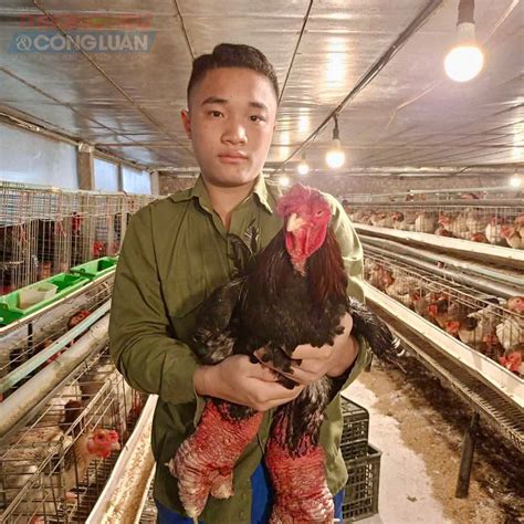 ga dong tao dac san thuong pham chay hang dip tet