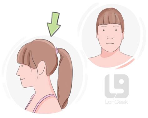 definition meaning  side langeek