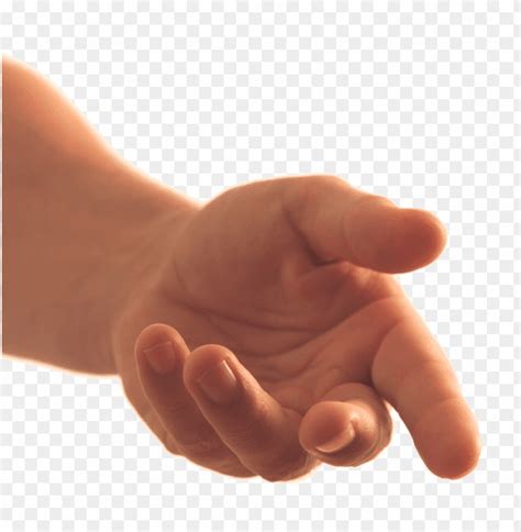 transparent background png image   hand image id  toppng