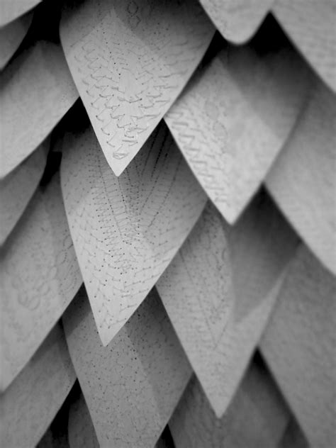 Defence Mechanism on Behance
